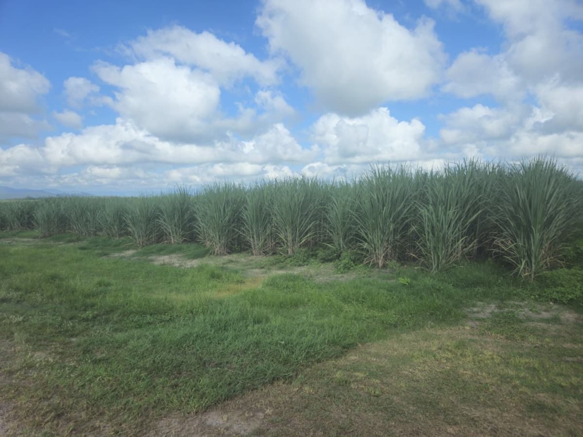 3.31 HECTARE (OVER 8 ACRE) PROPERTY MINUTES FROM TOWN!, Ingham - Thumbnail 2