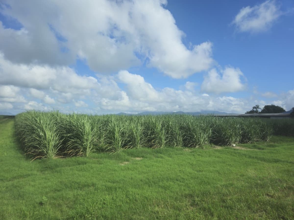 3.31 HECTARE (OVER 8 ACRE) PROPERTY MINUTES FROM TOWN!, Ingham - Thumbnail 3