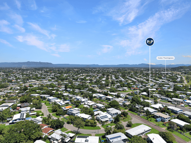 21 Rhodes Street, Heatley, QLD 4814, Heatley - Thumbnail 4