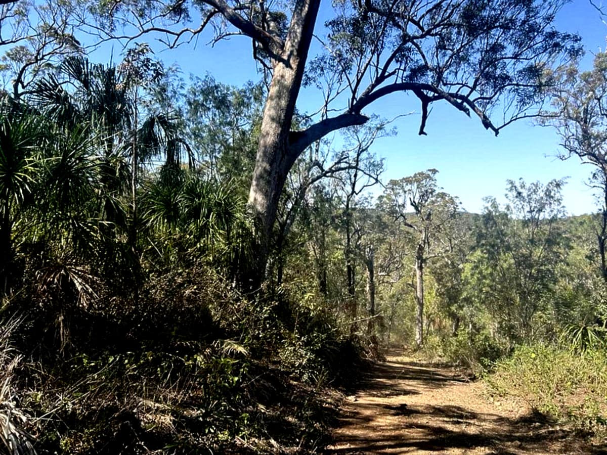 1290 Nine Mile Road, Nine Mile Creek QLD, Nine Mile Creek - Image 1