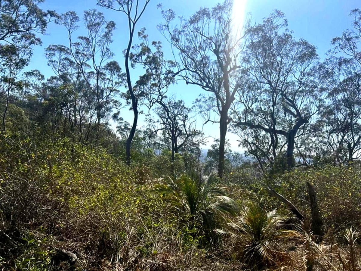 1290 Nine Mile Road, Nine Mile Creek QLD, Nine Mile Creek - Thumbnail 2