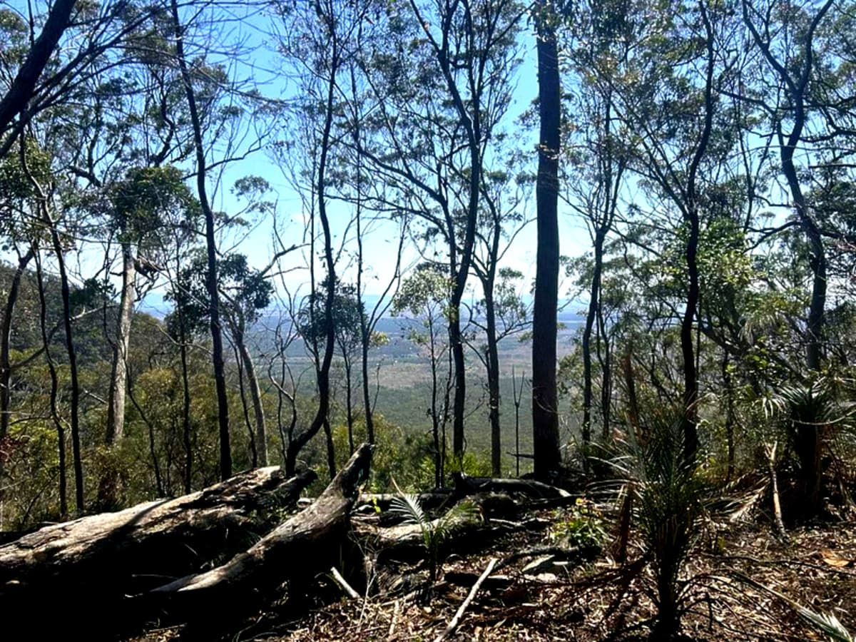 1290 Nine Mile Road, Nine Mile Creek QLD, Nine Mile Creek - Thumbnail 3