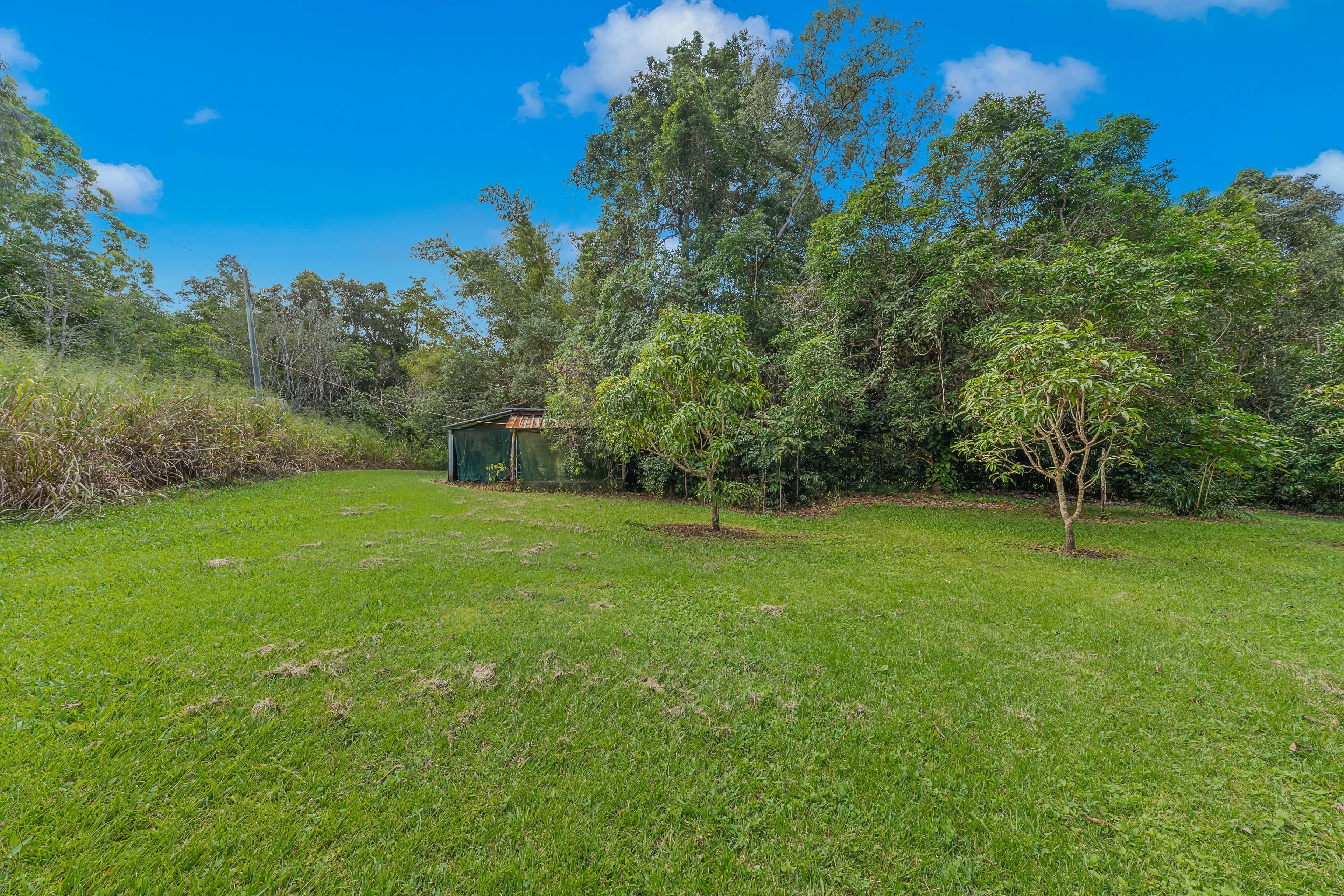 739 Saltwater Creek Road, Palm Grove - Thumbnail 6