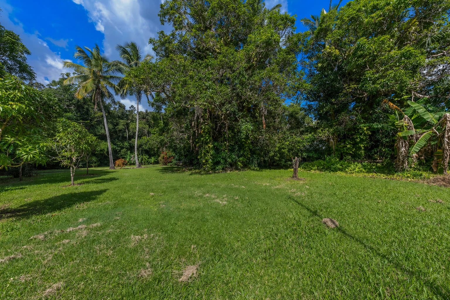 739 Saltwater Creek Road, Palm Grove - Thumbnail 7