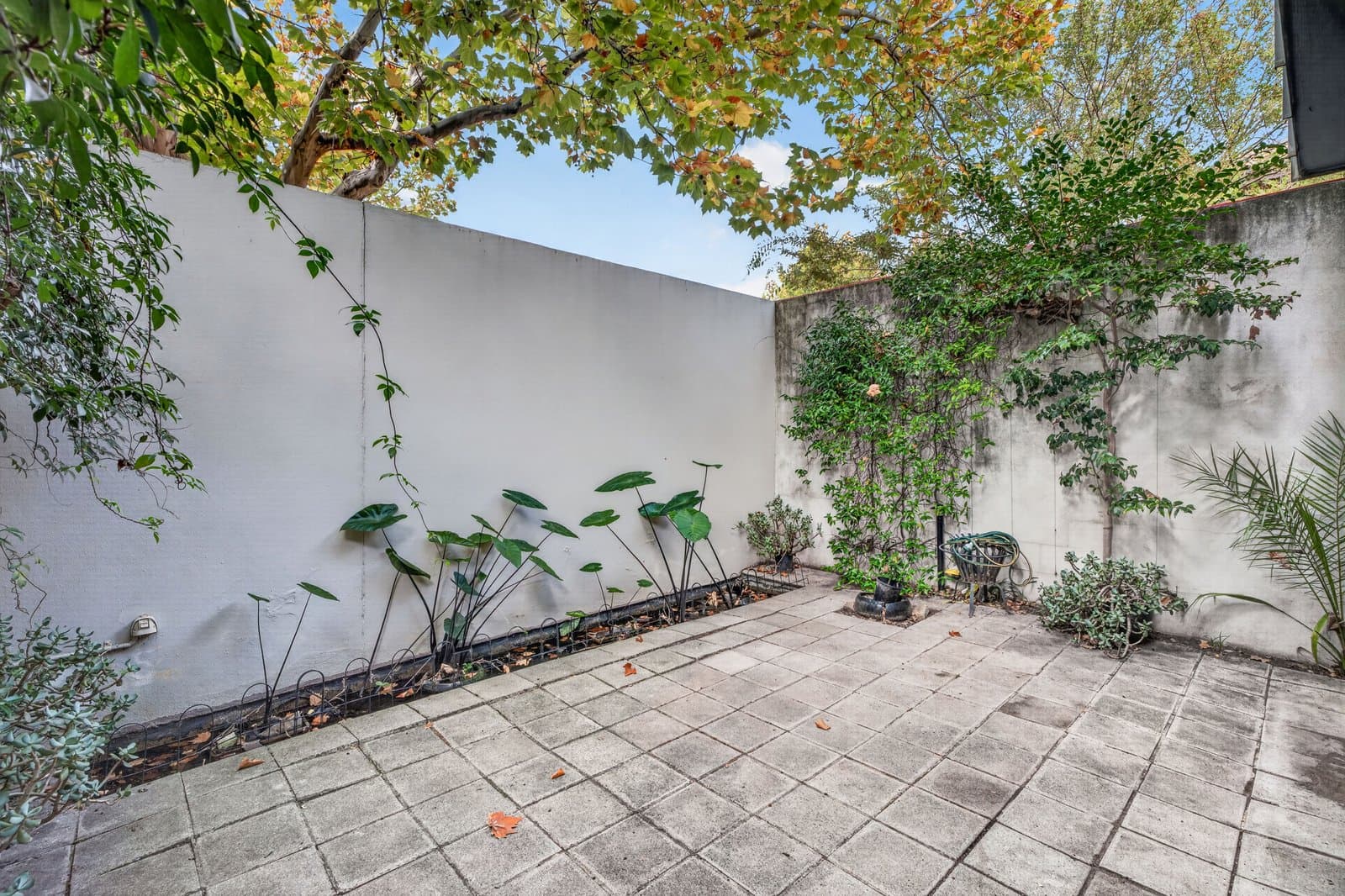 1/83 Grange Road, Toorak, Toorak - Thumbnail 5
