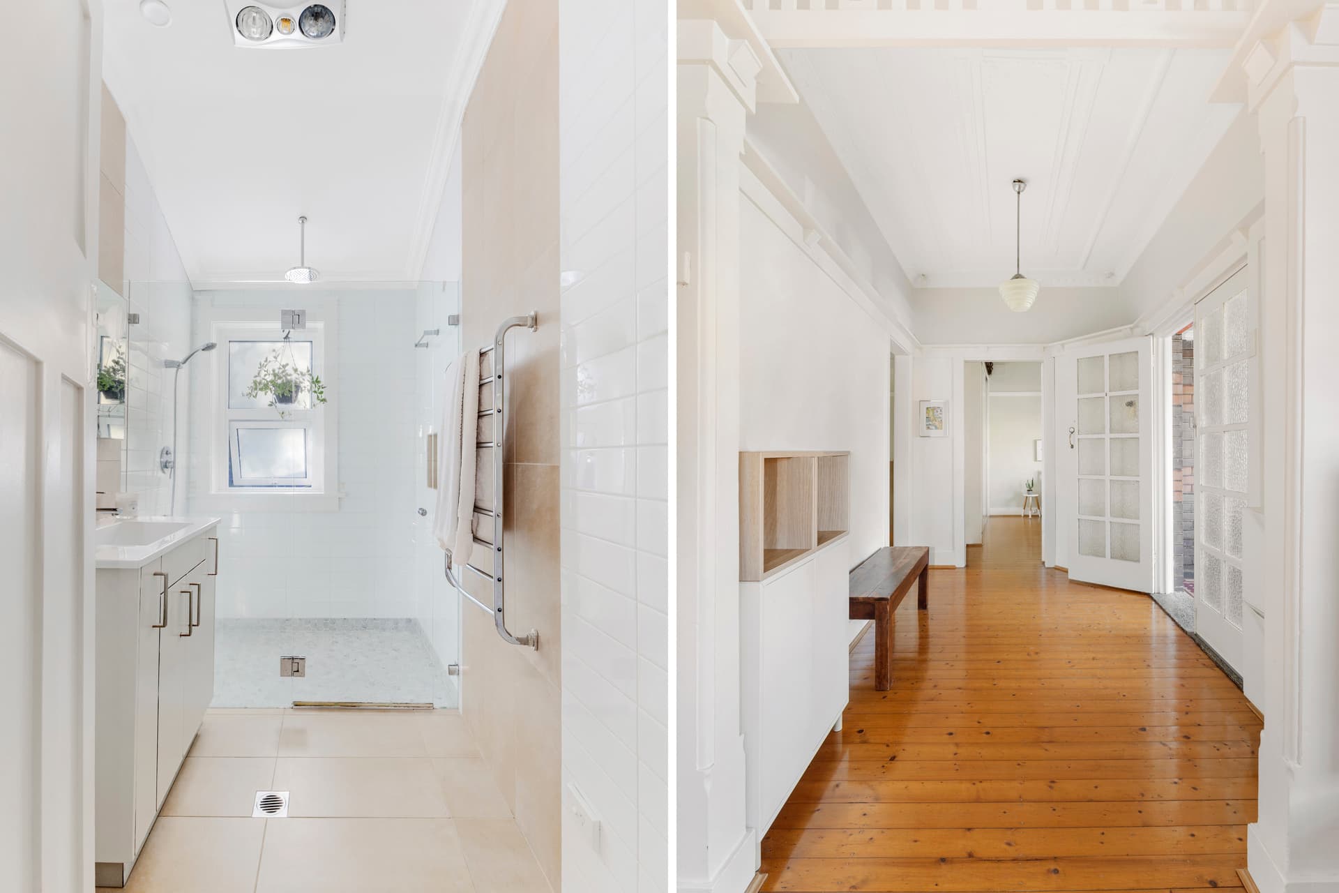 12 Jarvie Avenue, Petersham - Thumbnail 7