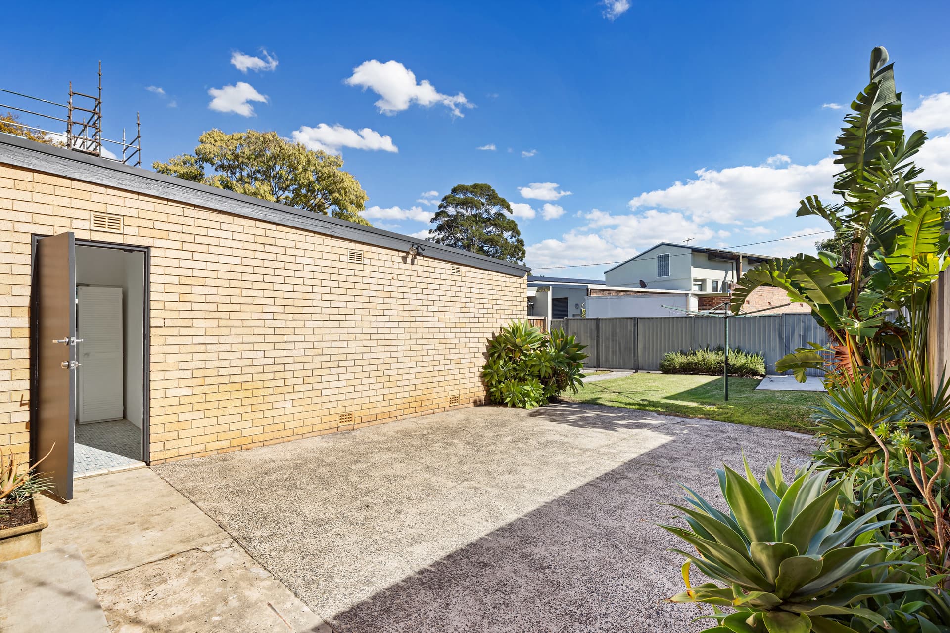 16 Edith Street, Leichhardt - Thumbnail 8