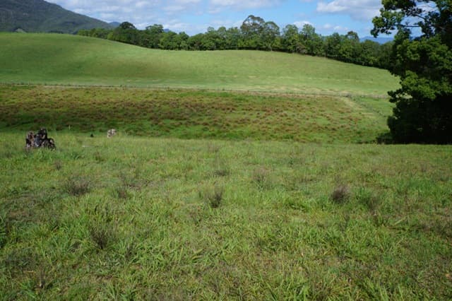 83 Minnie Perkins Road, Fernvale, NSW, 2484, Fernvale - Thumbnail 2