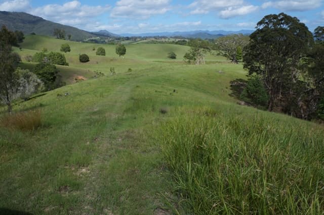 83 Minnie Perkins Road, Fernvale, NSW, 2484, Fernvale - Thumbnail 4