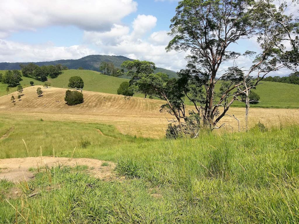 83 Minnie Perkins Road, Fernvale, NSW, 2484, Fernvale - Thumbnail 5