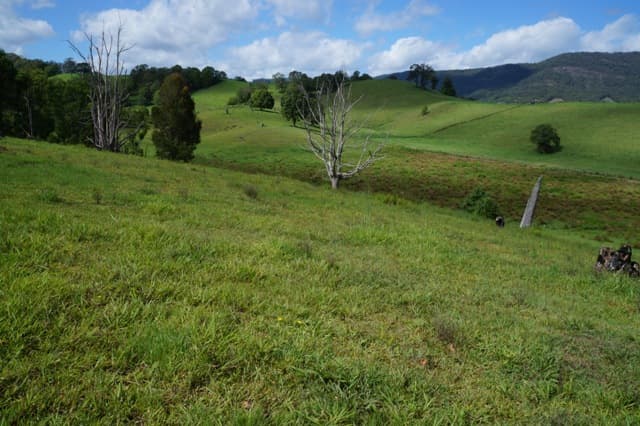 83 Minnie Perkins Road, Fernvale, NSW, 2484, Fernvale - Thumbnail 6