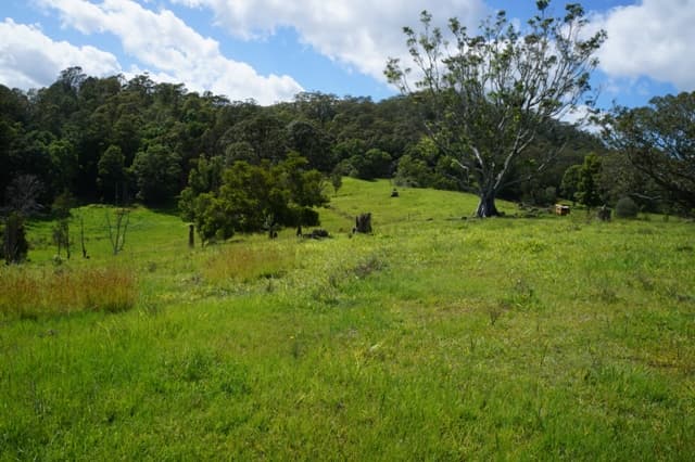 83 Minnie Perkins Road, Fernvale, NSW, 2484, Fernvale - Thumbnail 8