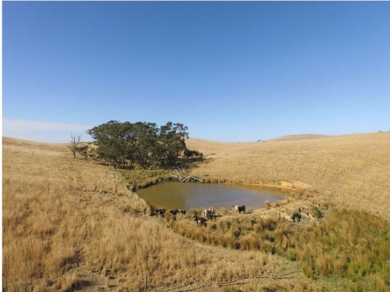 234 Trig Point Road, MYPONGA, SA, 5202, Myponga - Thumbnail 4