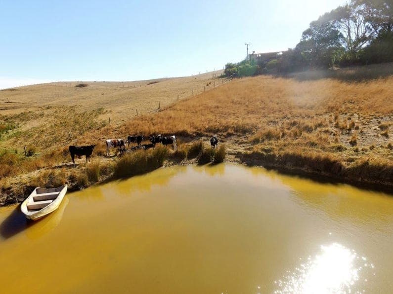 234 Trig Point Road, MYPONGA, SA, 5202, Myponga - Thumbnail 5