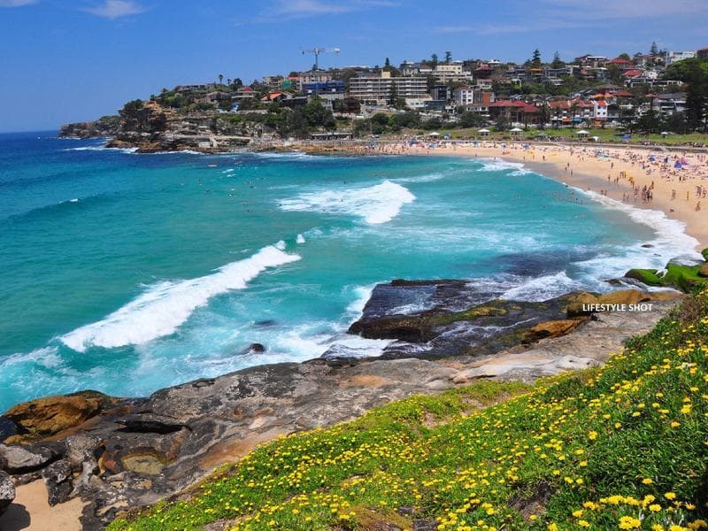 9/500 Bronte Road, Bronte - Thumbnail 8
