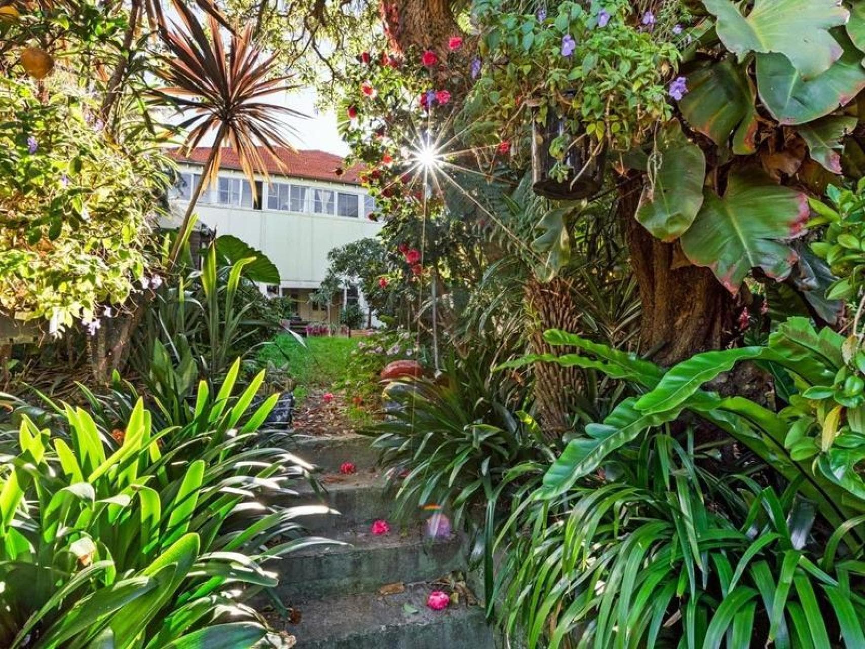 89 MacPherson Street, Bronte - Thumbnail 2