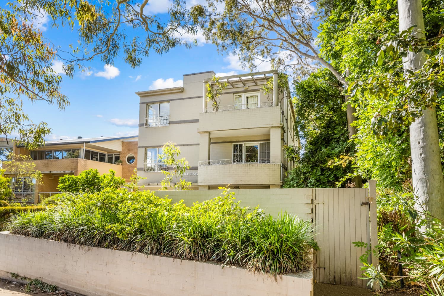 3/67a Burns Bay Road, Lane Cove - Thumbnail 6