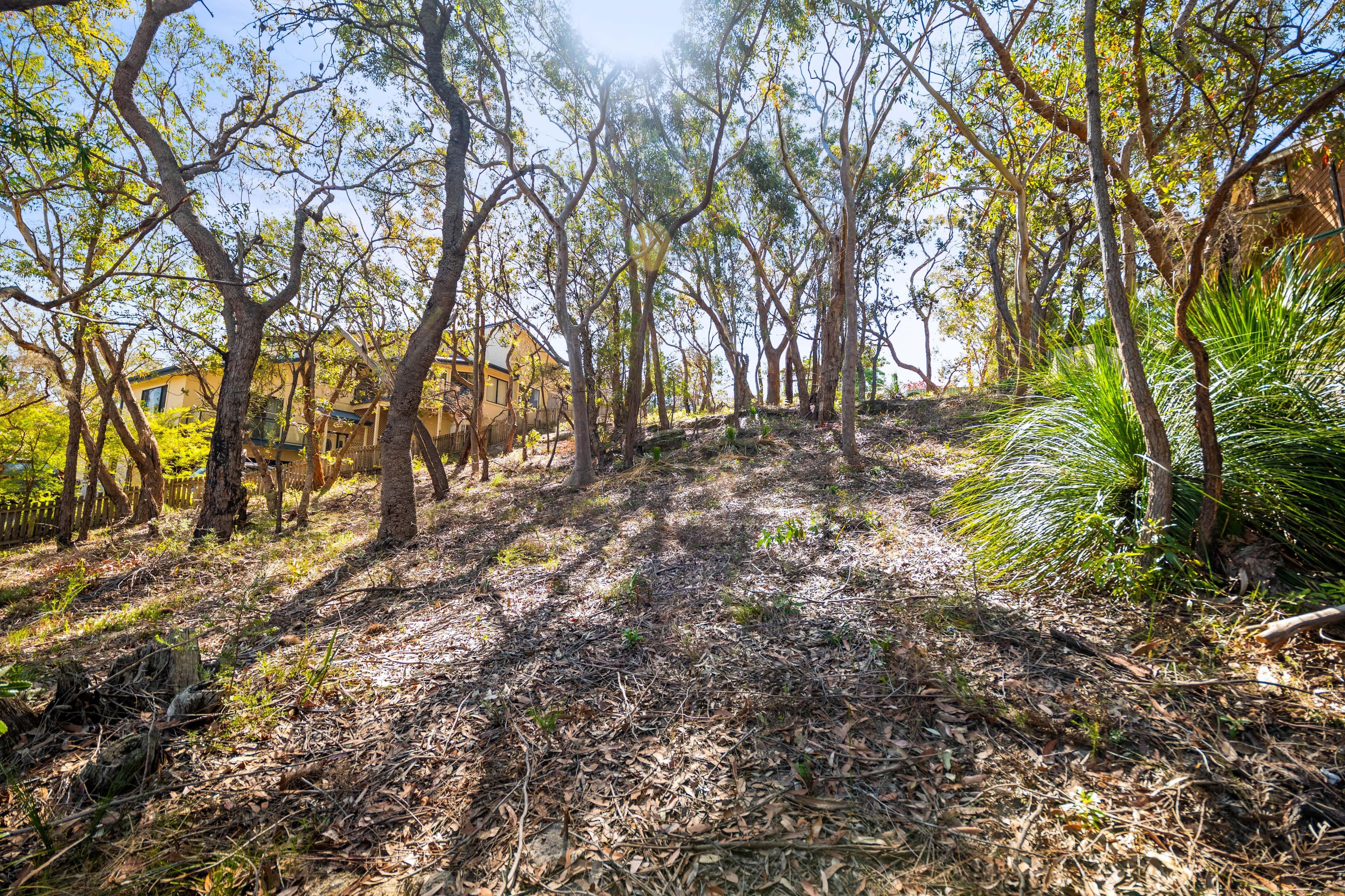30 Chapman Avenue, Linden - Thumbnail 8