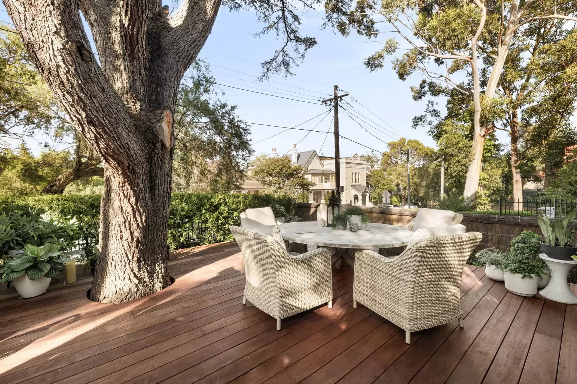 1/30 Croydon Street, Petersham - Image 1