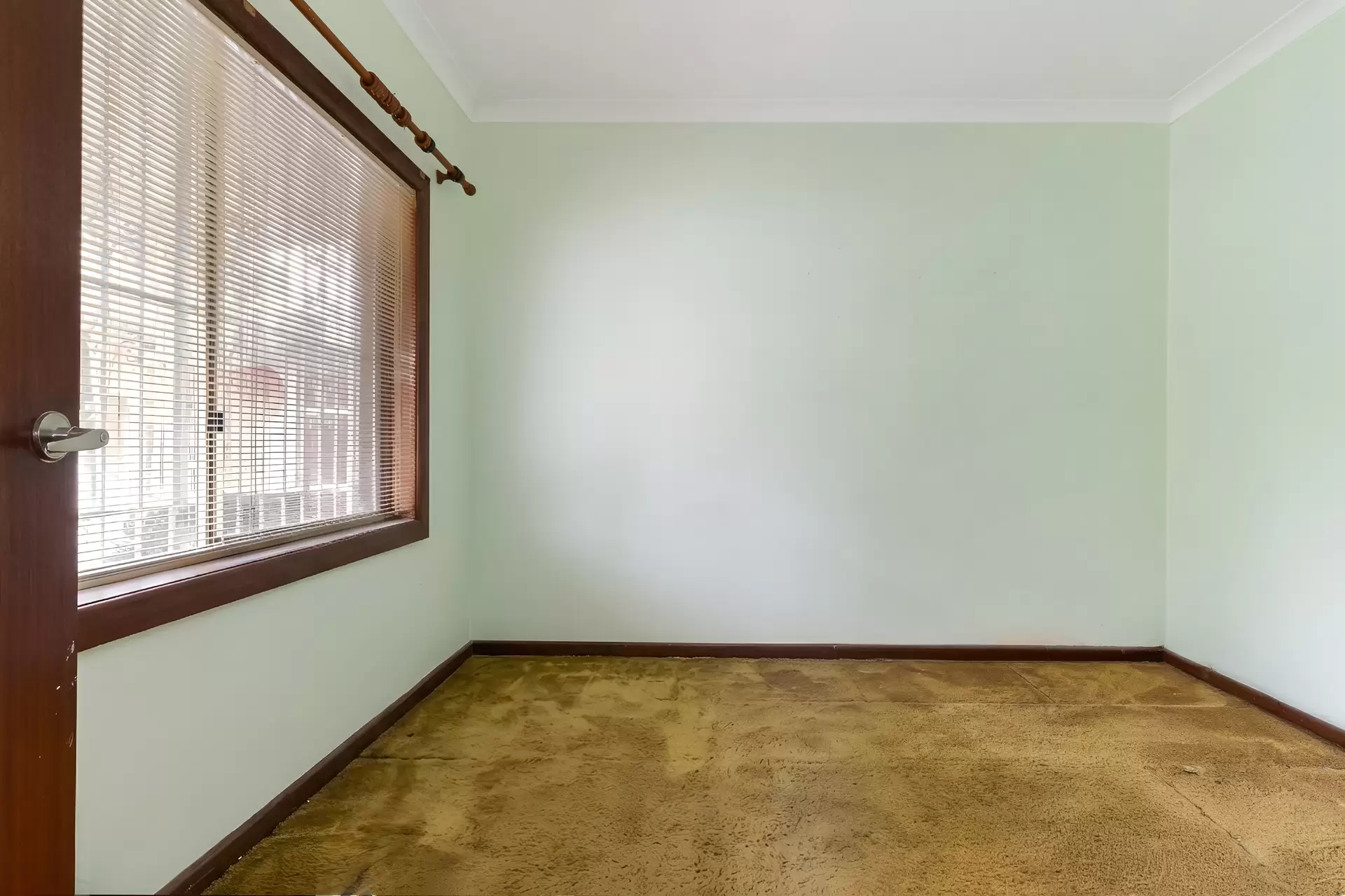 13 Undercliffe Road, Earlwood - Thumbnail 5