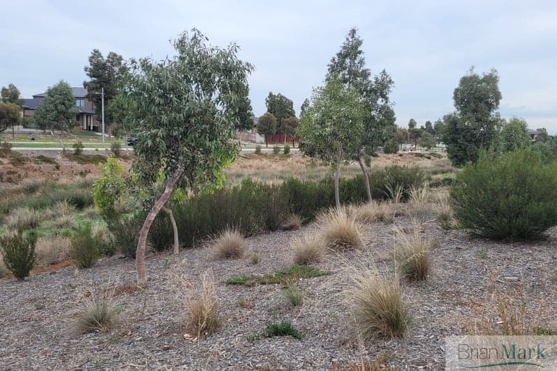 73 Laflin Avenue, Tarneit - Thumbnail 6