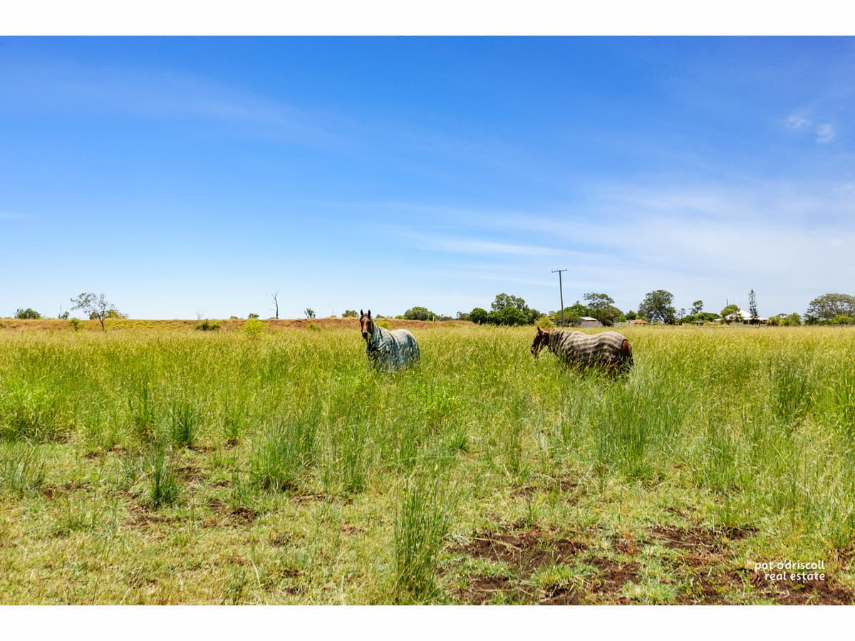 1179 Ridgelands Road, Alton Downs QLD, Alton Downs - Thumbnail 2