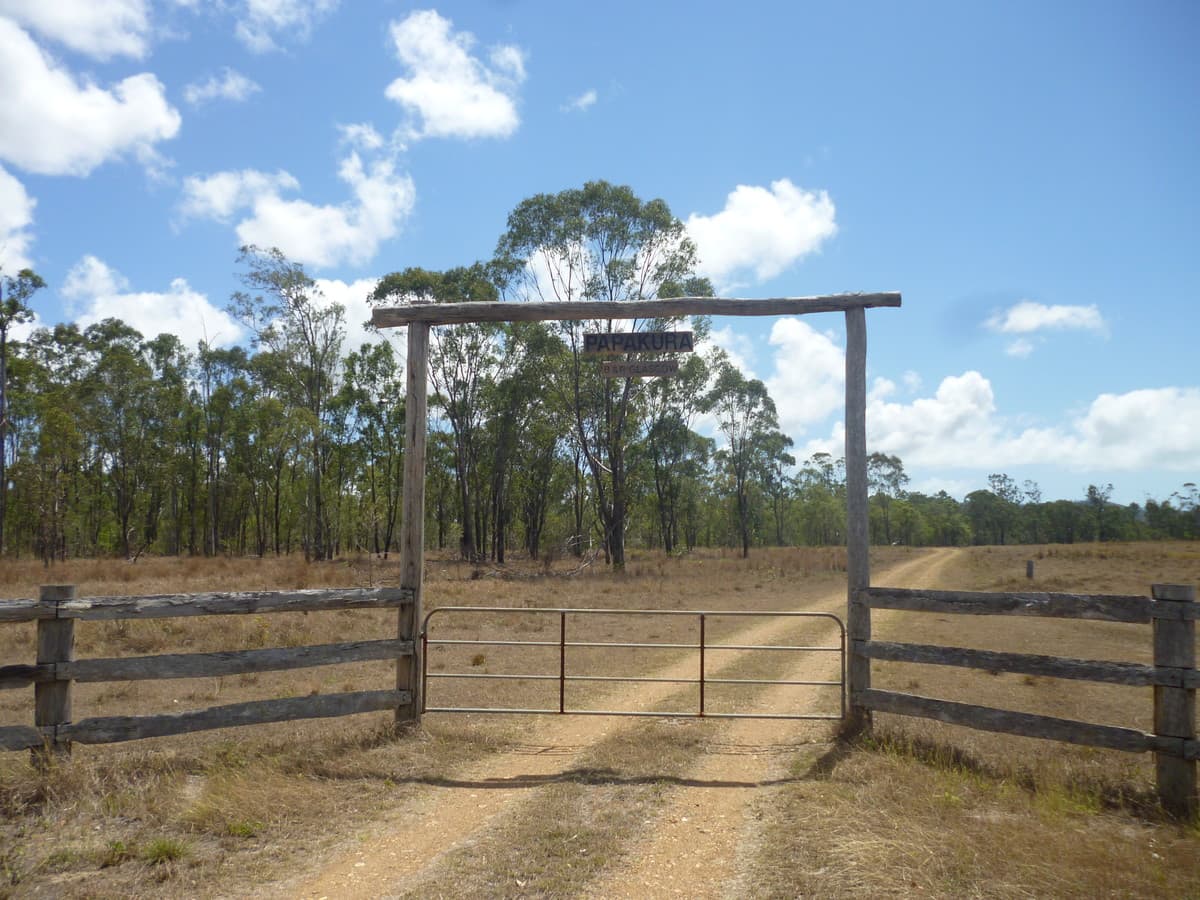 226 Coorooman Creek Road, Cawarral QLD, Cawarral - Image 1