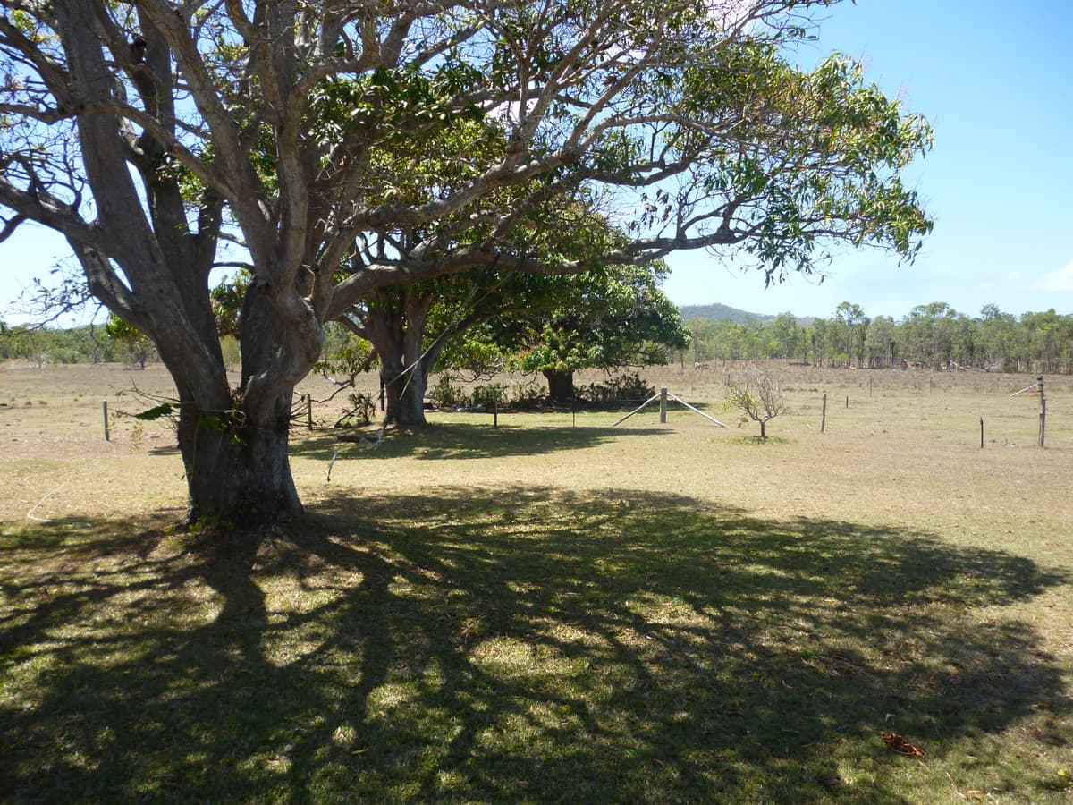 226 Coorooman Creek Road, Cawarral QLD, Cawarral - Thumbnail 2