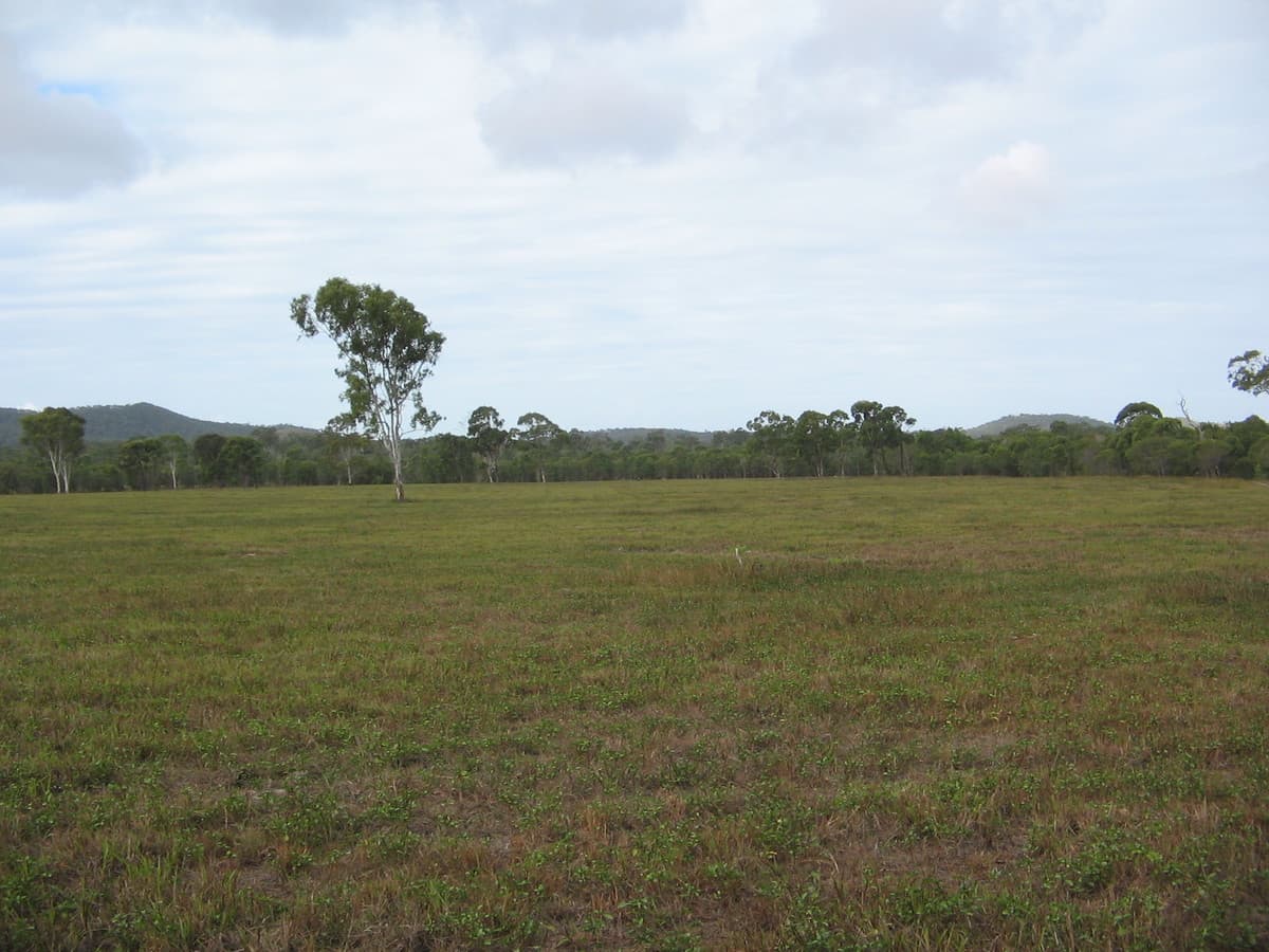 226 Coorooman Creek Road, Cawarral QLD, Cawarral - Thumbnail 3