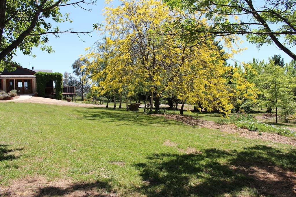 97 Fry’s Lane, White Rock, NSW, 2795, White Rock - Thumbnail 8