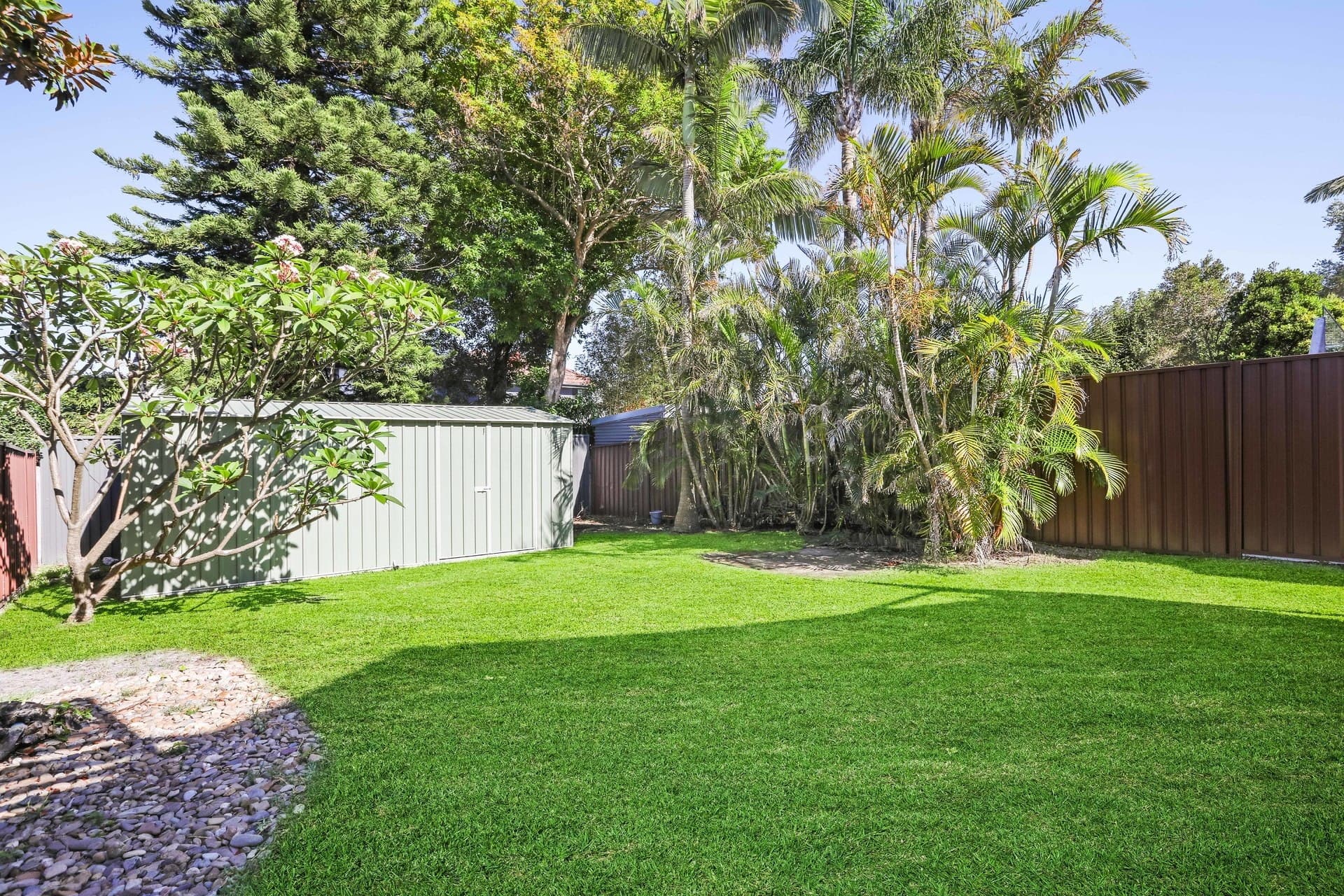 29 Trevelyan Street, Botany - Thumbnail 5