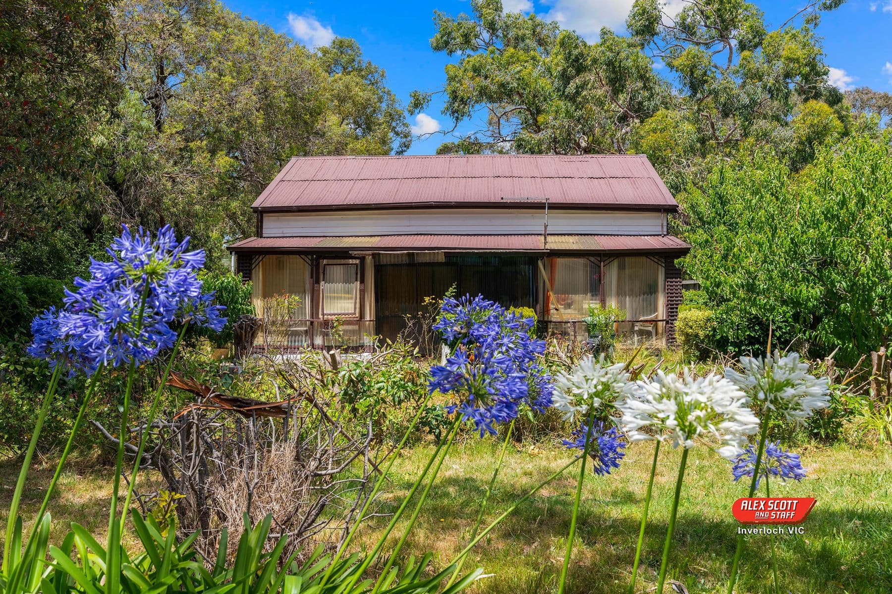 7 Victoria Street, Inverloch, Inverloch - Thumbnail 5