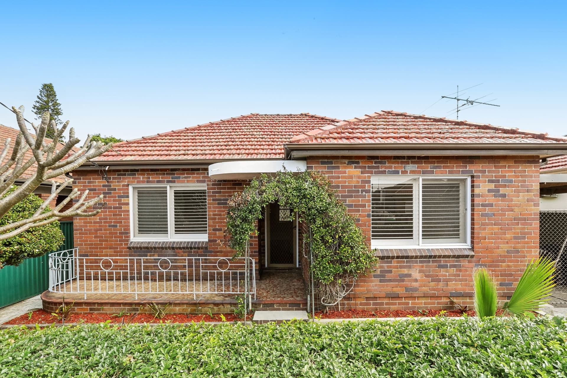 16 Walker Avenue, Mascot - Image 1