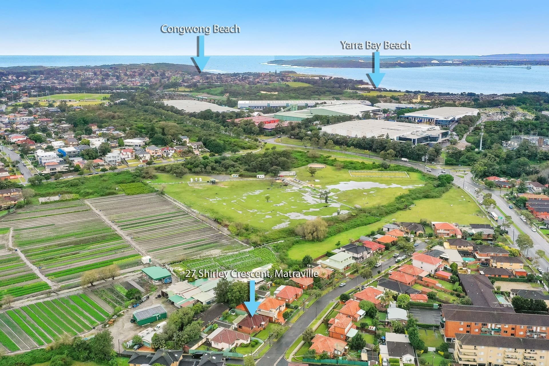 27 Shirley Crescent, Matraville - Thumbnail 3