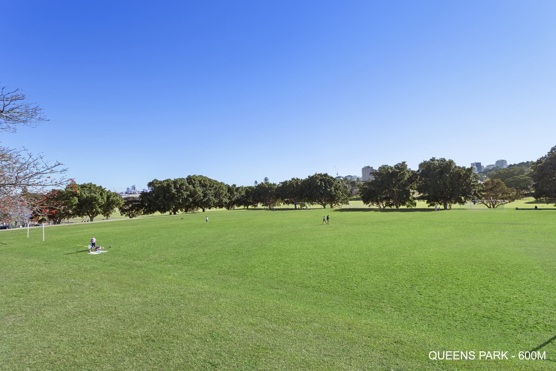 22 Gilderthorpe Avenue, Randwick - Thumbnail 6
