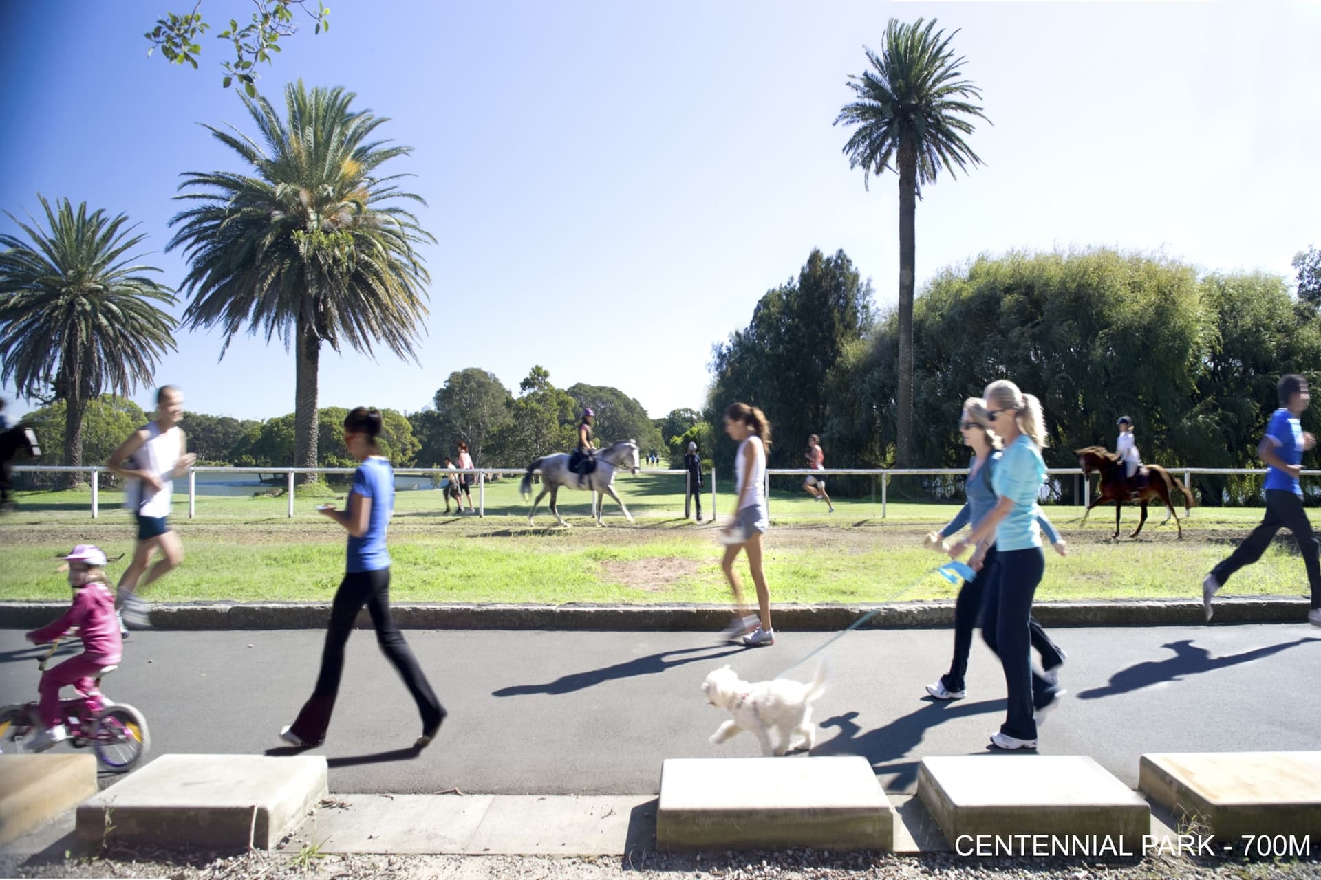 22 Gilderthorpe Avenue, Randwick - Thumbnail 7
