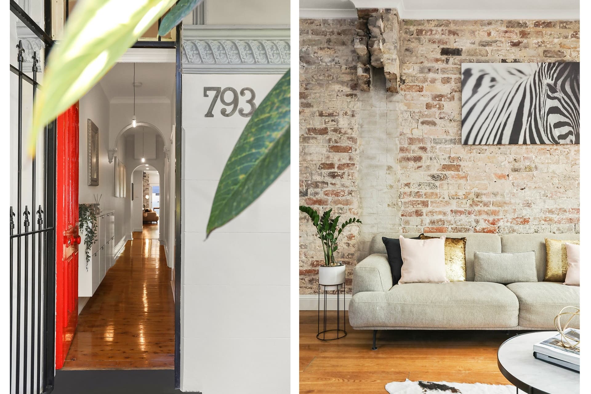 793 Elizabeth Street, Zetland - Thumbnail 7