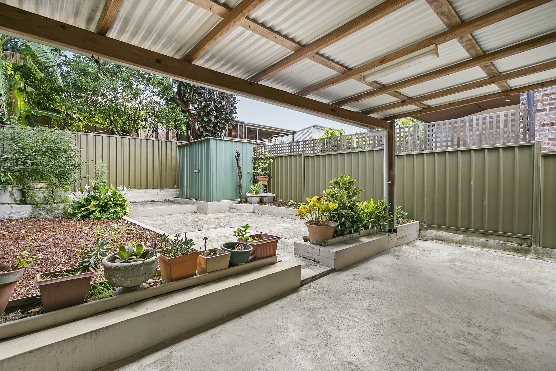 25 Arthur Street, Randwick - Thumbnail 5