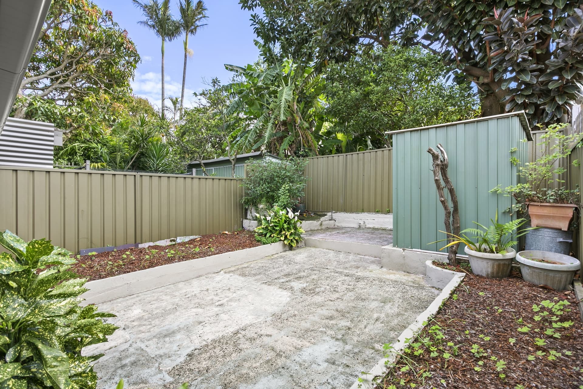25 Arthur Street, Randwick - Thumbnail 6