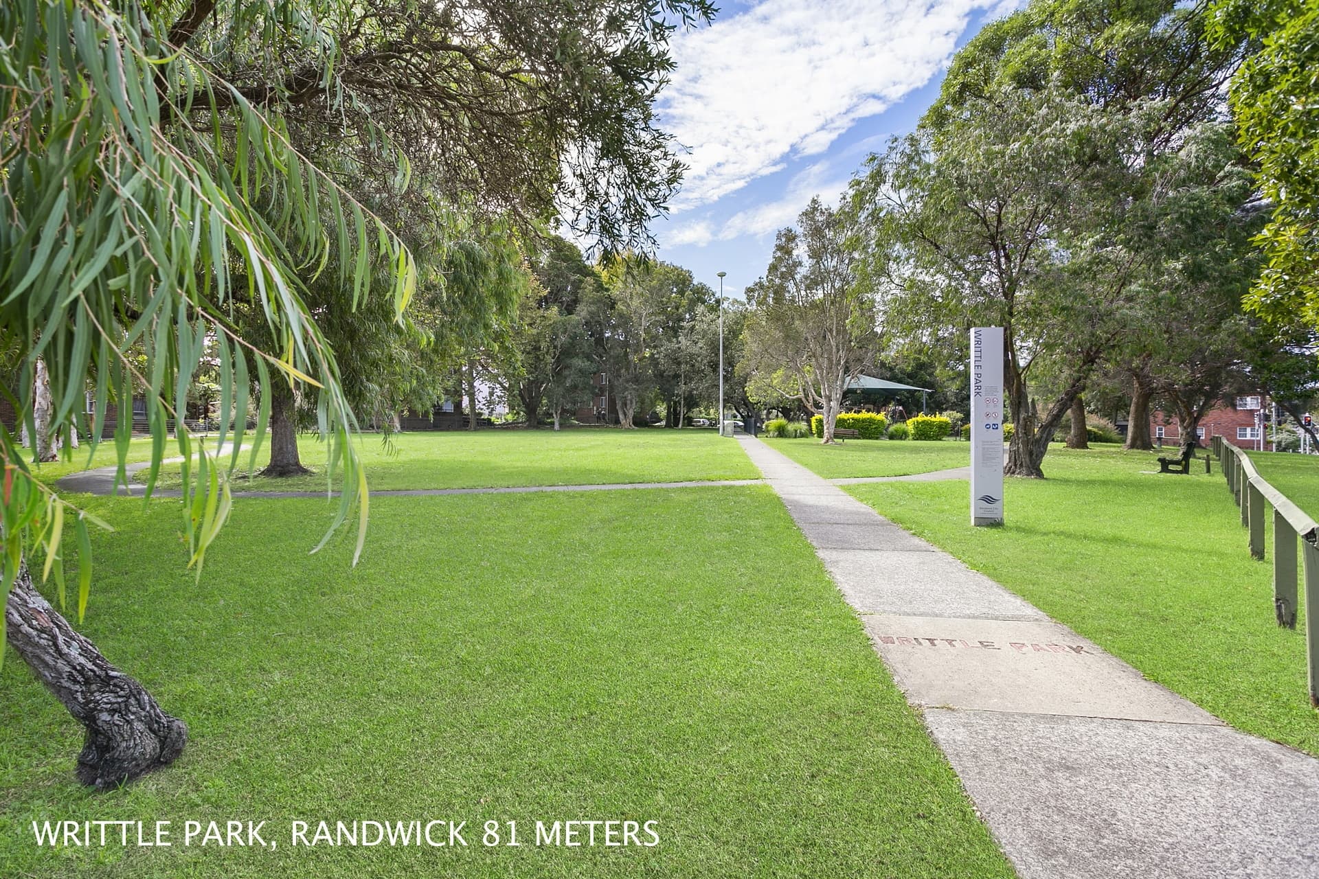 25 Arthur Street, Randwick - Thumbnail 7