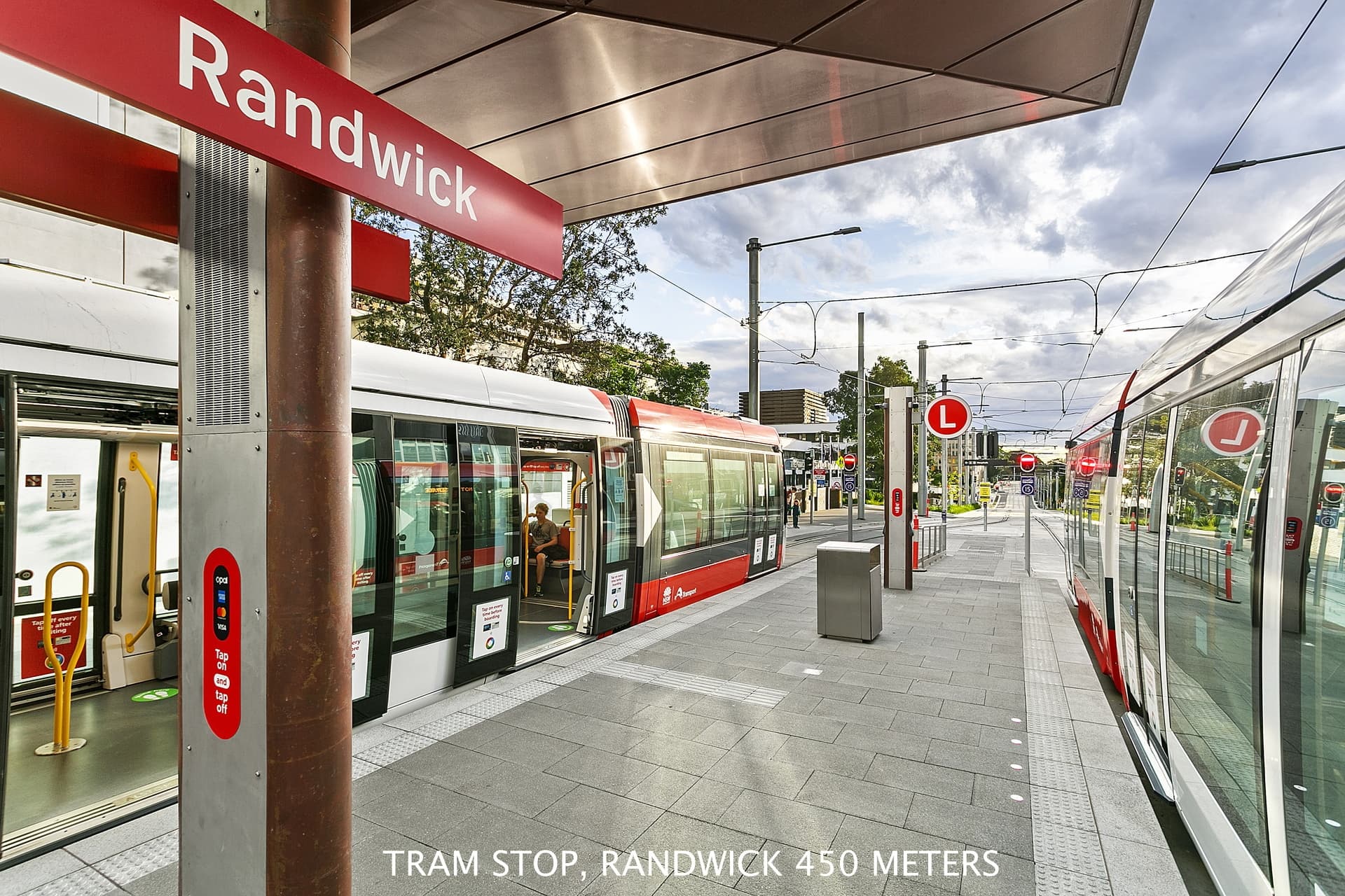 25 Arthur Street, Randwick - Thumbnail 8
