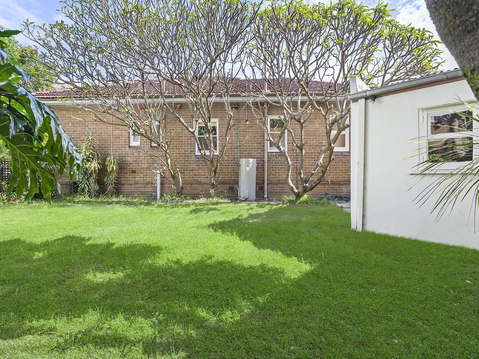 20 Hinkler Street, Maroubra - Thumbnail 6