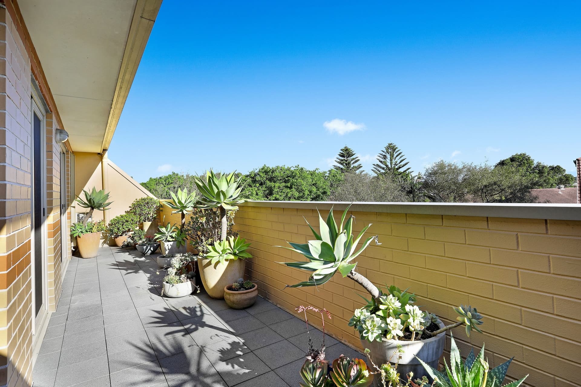 10/16 Morgan Street, Botany - Thumbnail 2