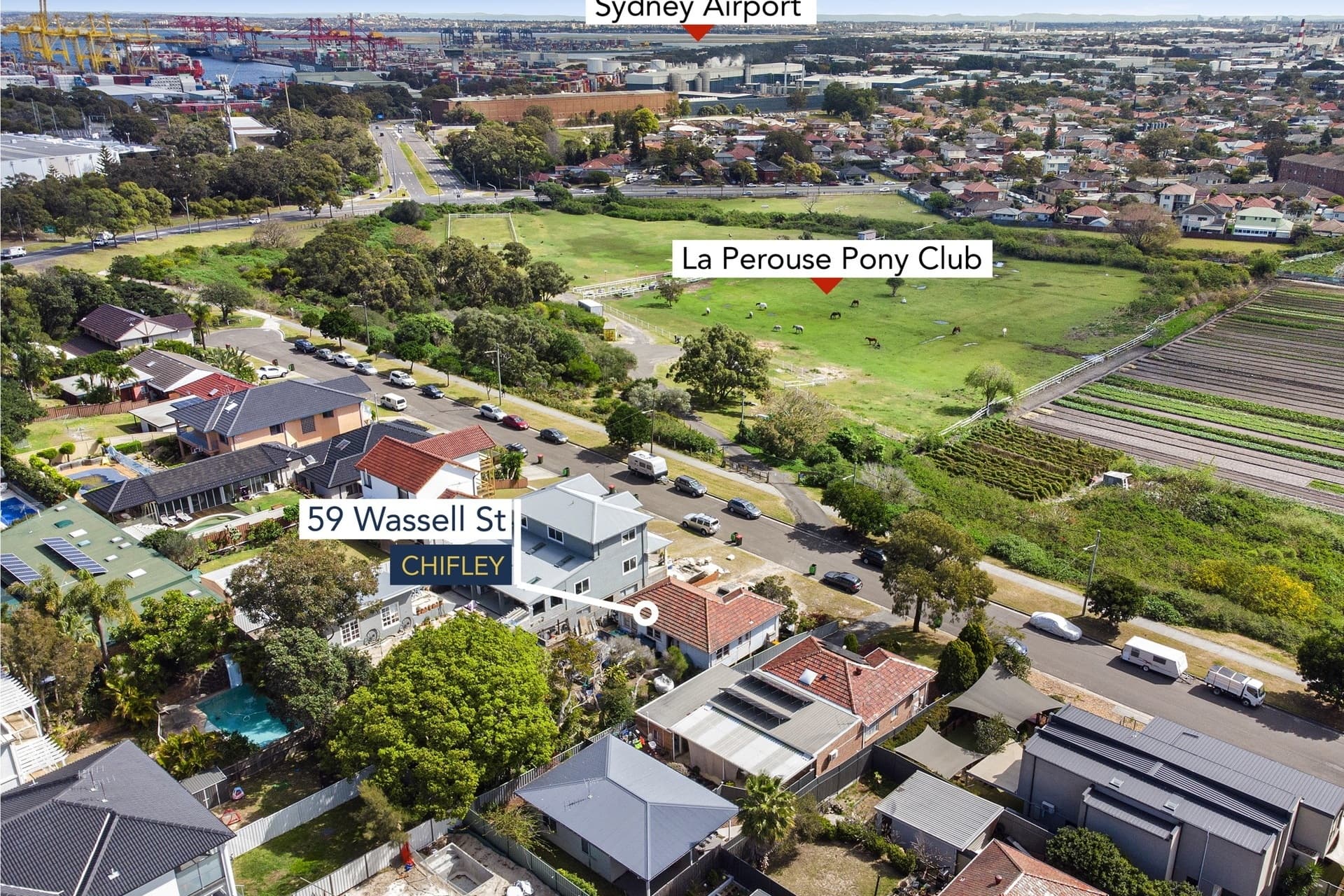 59 Wassell Street, Chifley - Image 1