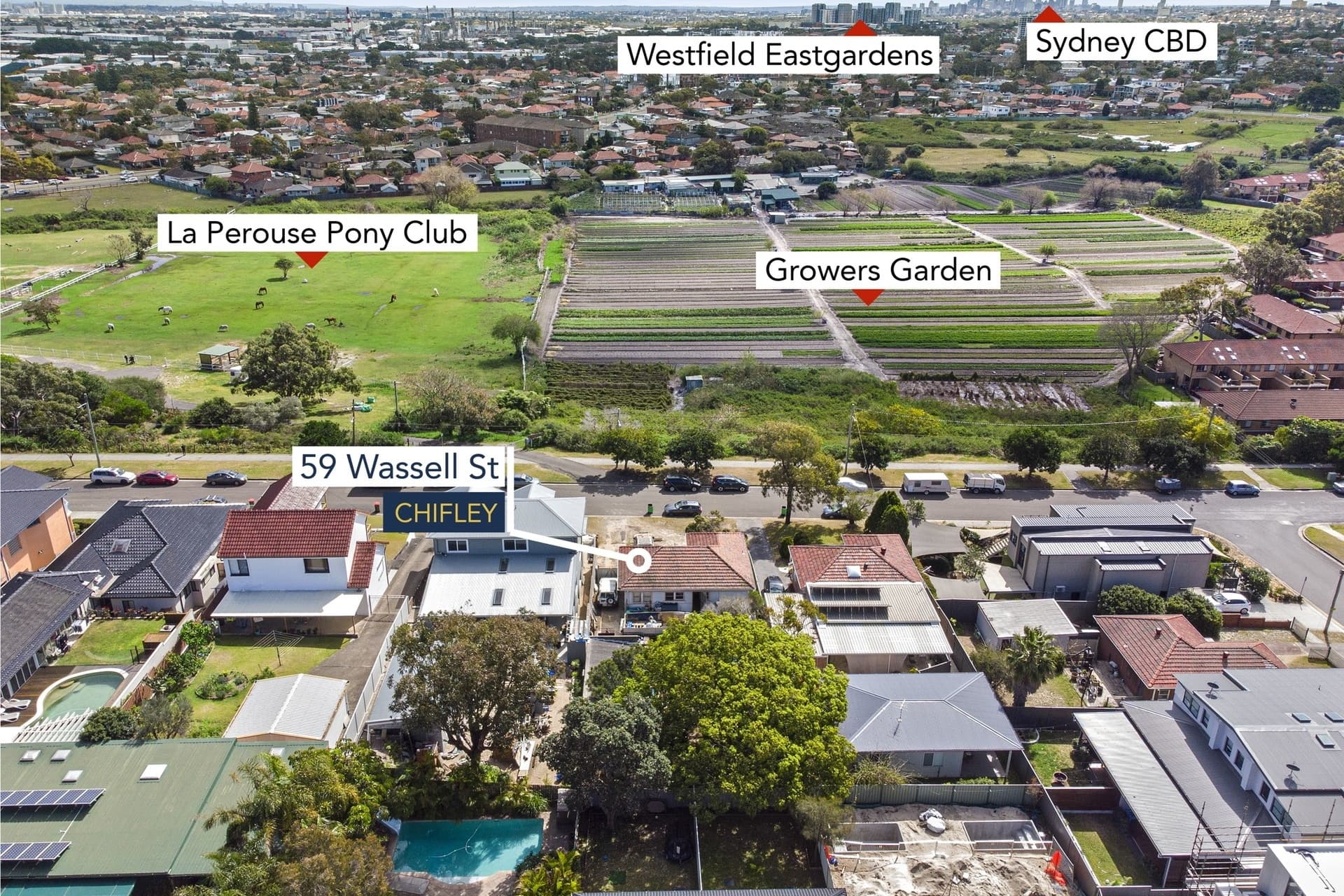 59 Wassell Street, Chifley - Thumbnail 5