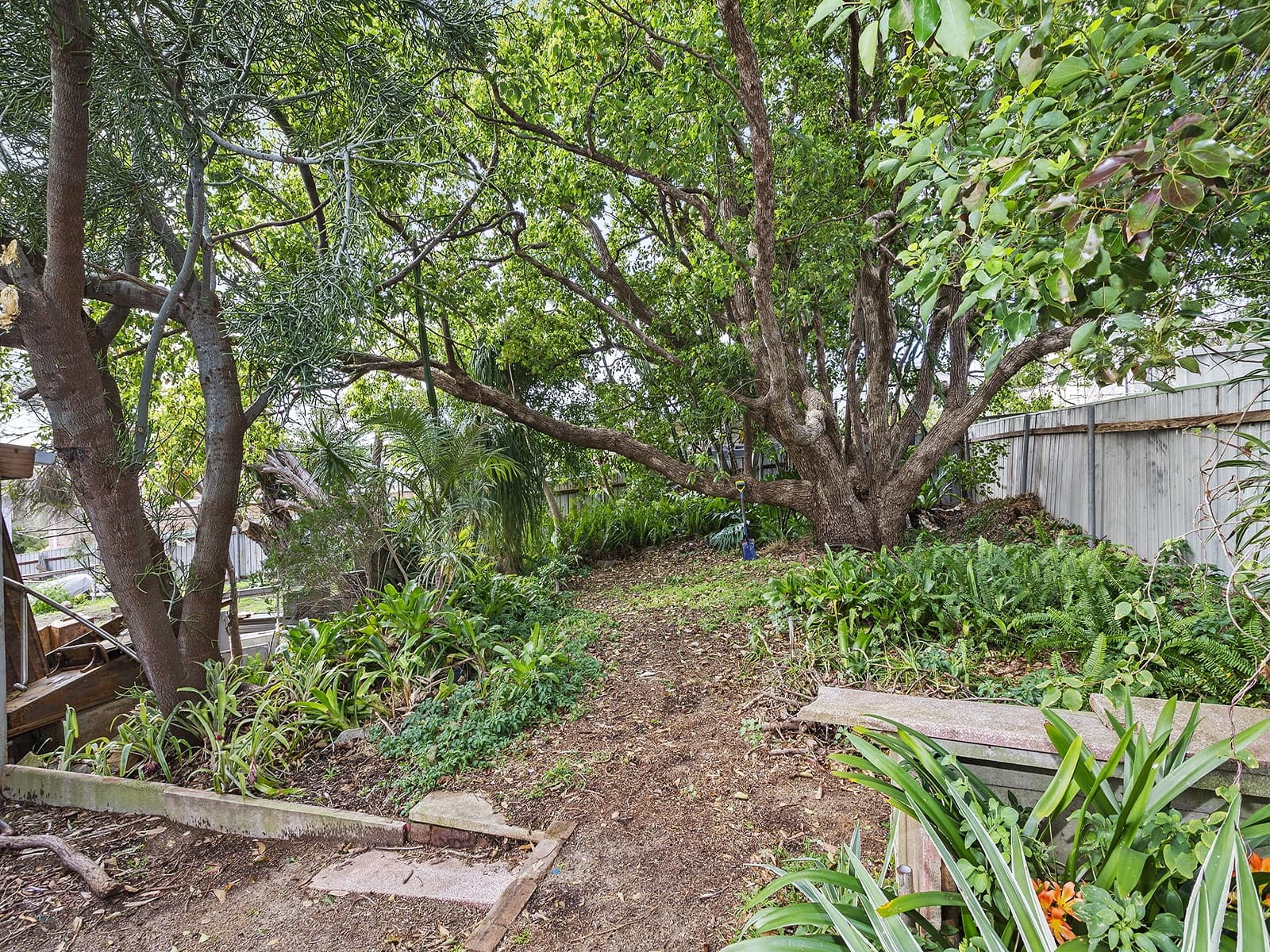 59 Wassell Street, Chifley - Thumbnail 6