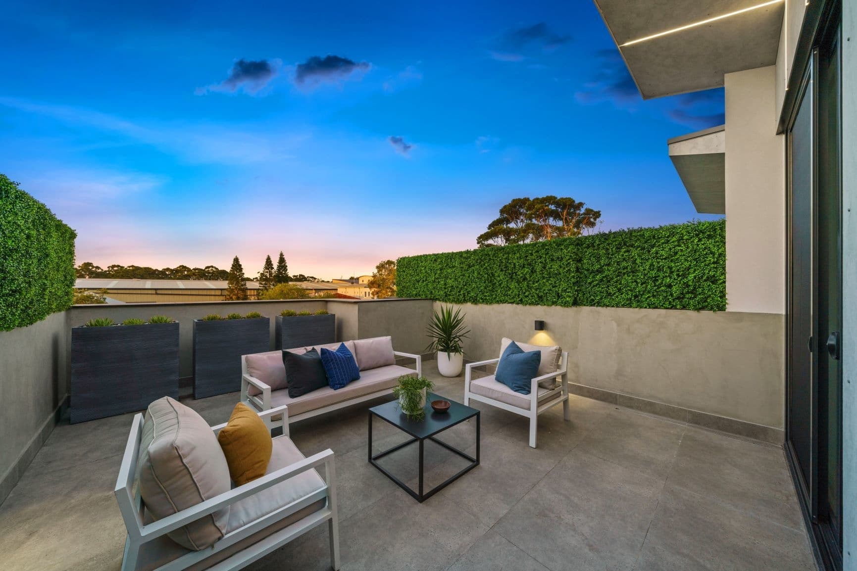 37b Daphne Street, Botany - Thumbnail 5