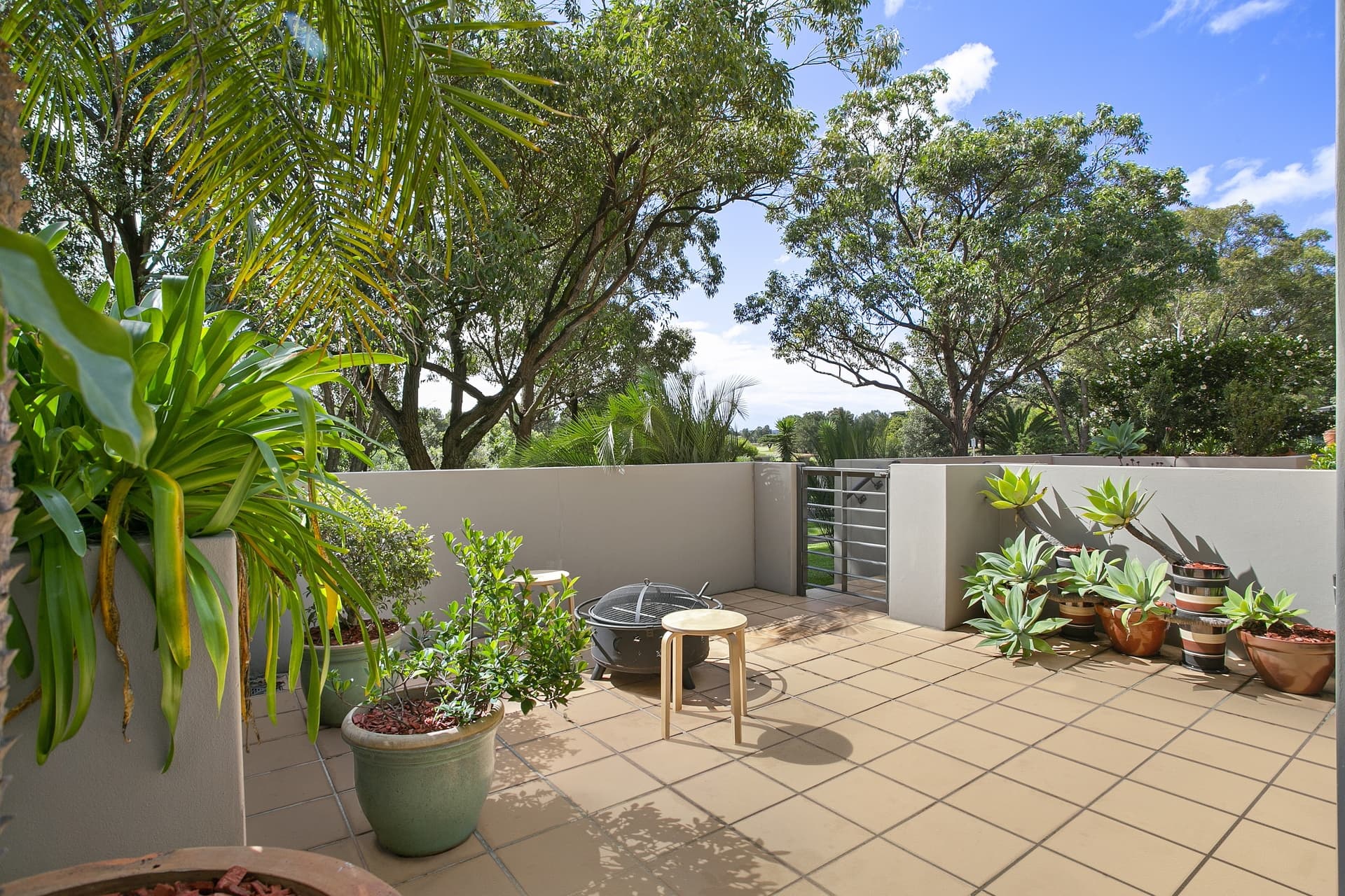 42/15 Begonia (enter Via Myrtle Street) Street, Pagewood - Thumbnail 3