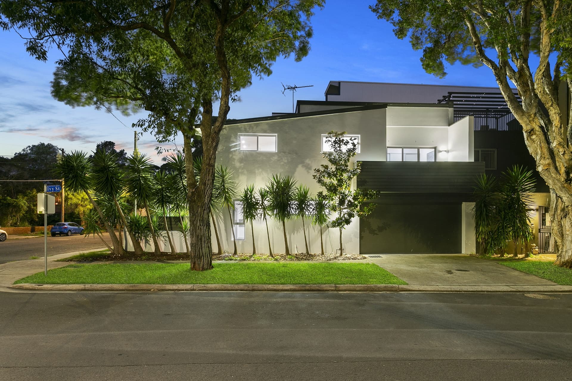 37 Daphne Street, Botany - Thumbnail 4