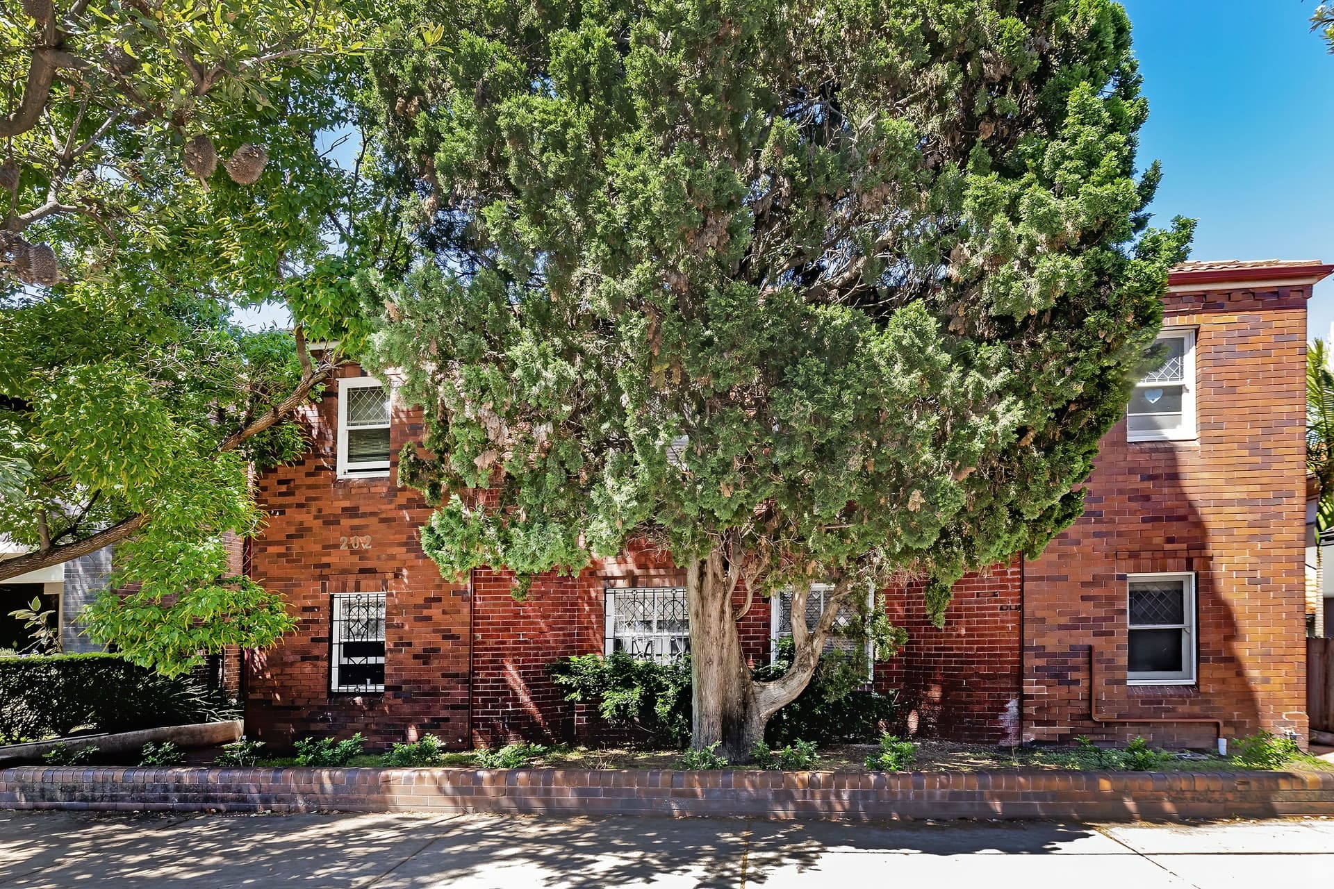 3/202 Clovelly Road, Randwick - Image 1